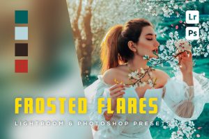 6 Frosted Flares Lightroom and Photoshop Presets