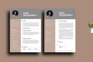 *** Resume Template***