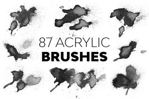Acrylic Brushes