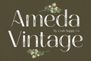 Ameda Vintage – Sans Serif Stamp