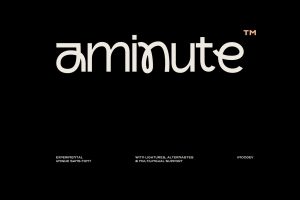 Aminute – Experimental Unique Sans Font