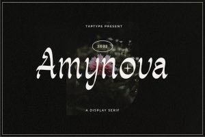 Amynova – Script Sans Serif Display Font