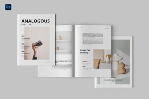 Analogue Magazine