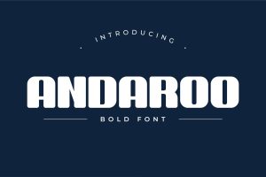 Andaroo Bold Font