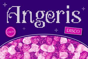 Angeris Disco
