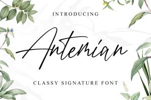Antemian Classy Signature Font