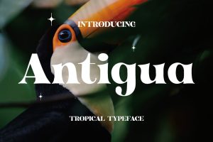 Antigua – Tropical Display