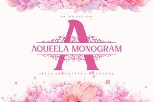 Aqueela Split Monogram Font