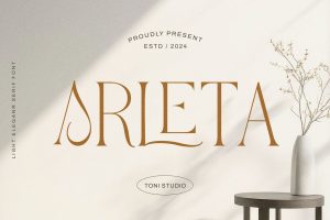 Arleta || elegant font