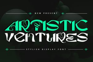 Artistic Venture