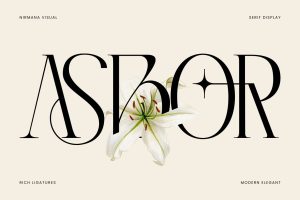 Asbor – Logo Font