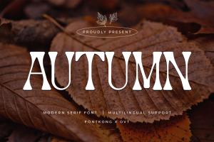 Autumn – Modern Serif Font