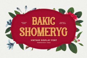 Bakic Shomeryg – Vintage Cursive Font