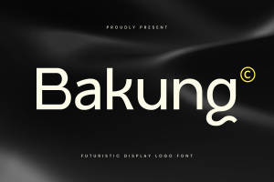 Bakung – Modern Branding Logo Font