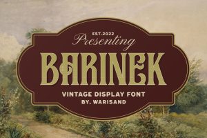 Barinek – Vintage Font