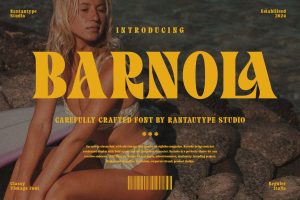 Barnola Classy Vintage Font