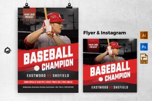 Baseball Champion Flyer