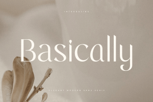 Basically – Elegant Modern Sans Serif