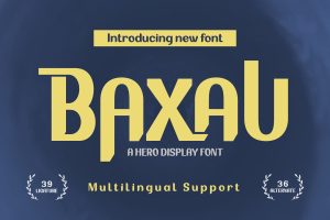 BAXAU | Display Hero Font