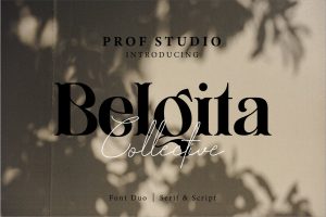 Belgita – Elegant Font Duo