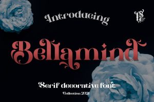 Bellamind – Serif Decorative Font