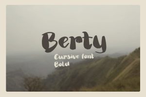 Berty – Bold thick thin brush