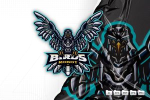 Bird Robot Mascot Logo Design