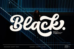 Black – Rounded Script Font
