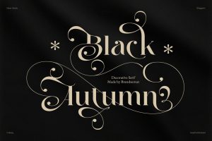 Black Autumn – Decorative Serif