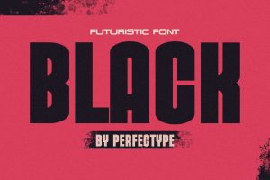 Black Logotype Sans Serif Font