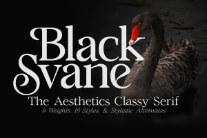 Black Svane