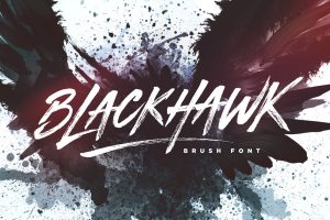 Blackhawk