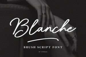 Blanche – Brush Script Font