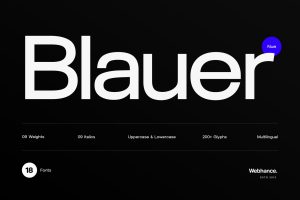 Blauer Nue – A premium sans-serif font family