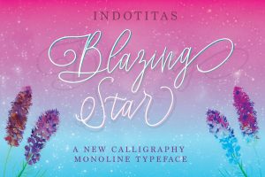 Blazing Star Script