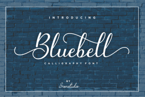 Bluebell – Modern Calligraphy Font