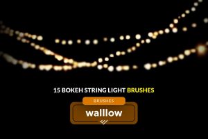 Bokeh String Light Photoshop Brush | Bokeh Brush