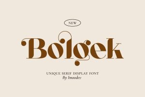 Bolgek – Luxury Font