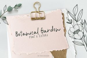 Botanical Script and Decorative Font Duo
