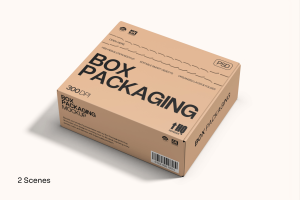 Box Mockup