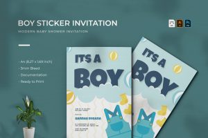 Boy Sticker | Baby Shower Invitation