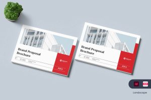 Brand Proposal