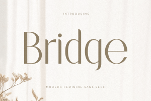 Bridge – Modern Feminine Sans Serif