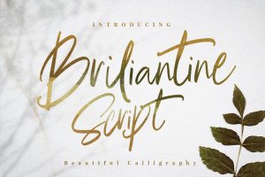 Briliantine Cute Classy, Modern Stylish Script