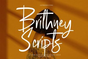 Brithney Scripts – Sexy Stylish Script Font