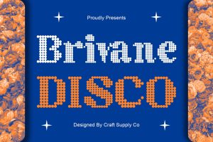 Brivane Disco