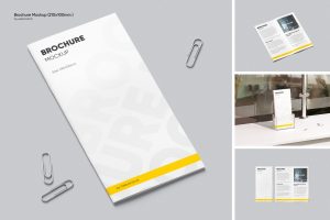 Brochure Mockup
