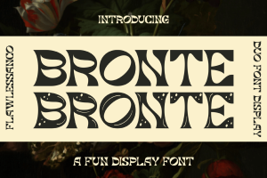 Bronte – Fun Display Font