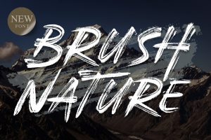 Brush Nature | Realistic Brush Font