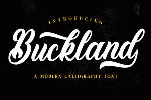 Buckland – Vintage Font